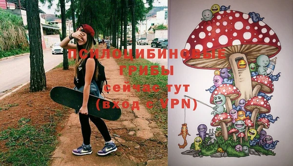 МДПВ Тавда