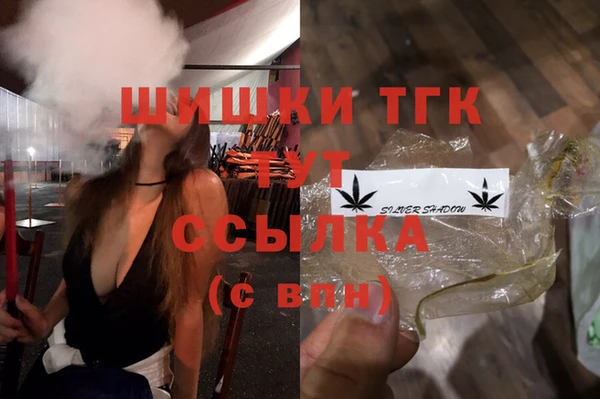 МДПВ Тавда