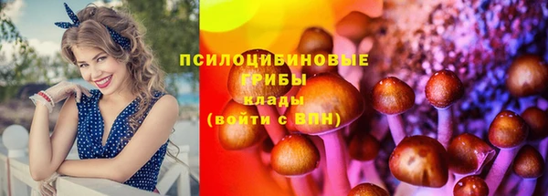 скорость mdpv Тайга